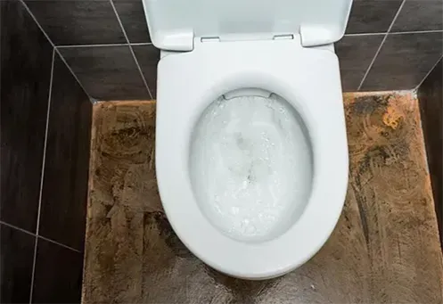 Desentupidora de Vaso Sanitário Urgente na Vila Barbosa